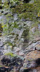 Textured Stone Wall Covered in Moss and Lichen in a Natural Setting