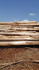 Composição com terra vermelha, madeira amontoadas na horizontal, e céu azul.