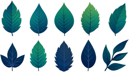 Collection of various green leaves isolated on black background.