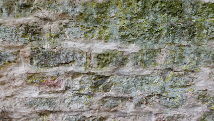 Textured Stone Wall With Moss and Lichen in Natural Setting During Daylight