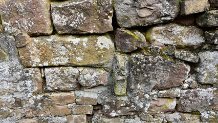 Textured Stone Wall With Moss and Lichen in a Historic Setting During Daylight