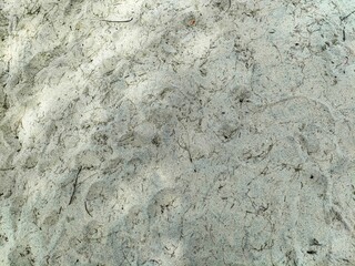 sand texture close up, a seen from a beach in Pantai Kempadang, Kuantan Pahang, Malaysia