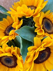 Beautiful bouquet of sunflowers Space for text.