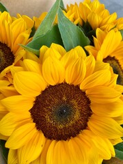 Beautiful bouquet of sunflowers Space for text.