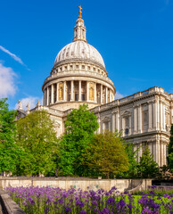Obraz premium St. Paul's cathedral in spring, London, UK
