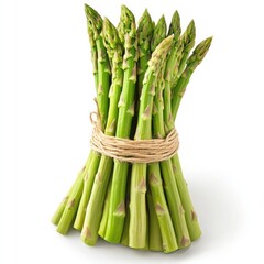 Fresh asparagus bundled tightly with natural twine on a white background, showcasing its vibrant green color and freshness