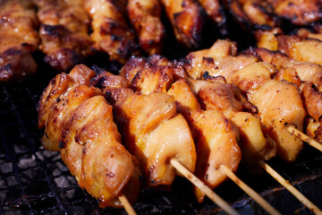 Thai chicken skewers called Gai Yang at a festival in Manassas, Virginia, USA