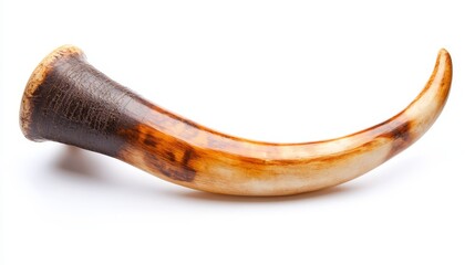 Ancient shofar horn on white background, used for Jewish religious rituals, typically made from a ram's horn. Blown during Rosh Hashanah celebrations.