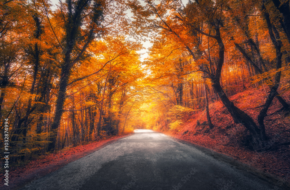 Canvas Prints amazing autumn forest with empty road in fog in the morning