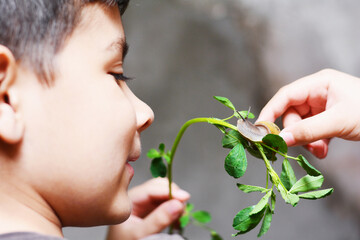 Little boy looking at the snail.