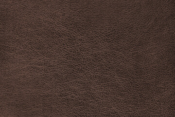 Structure of genuine leather, shiny brown leatherette surface with slightly grainy texture