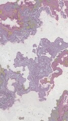 texture motif. texture pattern. marble motif. camouflage. abstract motif. ceramics