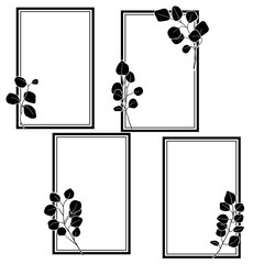 eucalyptus frame isolate on white background