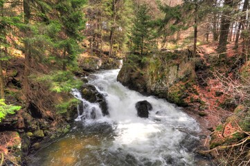 Joli torrent dans les bois dans les Vosges - France