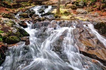 Joli torrent dans les bois dans les Vosges - France