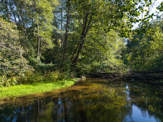Landscape of Iskar river near Pancharevo lake, Bulgaria