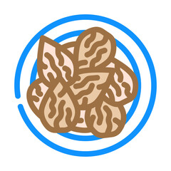 almonds vegan food color icon vector. almonds vegan food sign. isolated symbol illustration