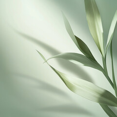 Calm Pastel Green Background with Diffused Lighting for Serene Ambiance