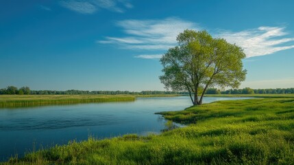 Serene River Landscape with Lone Tree Under Clear Sky