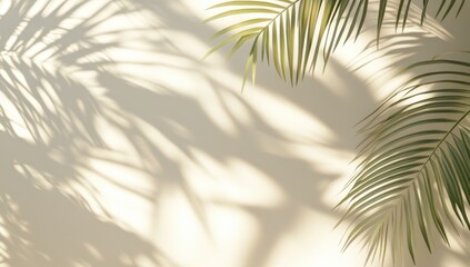 Fototapeta premium A leafy palm tree casts a shadow on a white wall