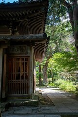 Naklejka premium 鎌倉2410 浄智寺4 境内