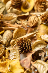 テーブルに置かれたたくさんの落ち葉や松ぼっくり