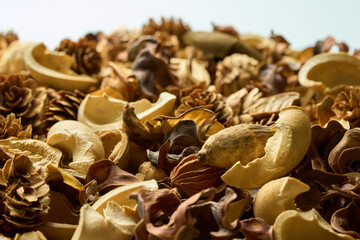 テーブルに置かれたたくさんの落ち葉や松ぼっくり