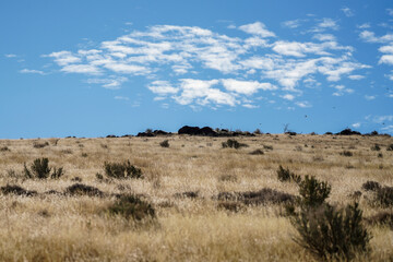 Obraz premium Arid dry Nevada Mountain Landscape with a few clouds and some Chukar birds flying against a blue sky.