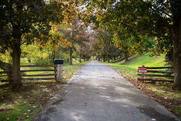 path in autumn park