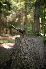 axe in a tree