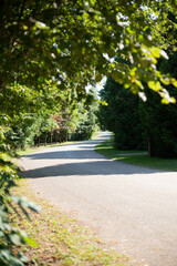 road in the park