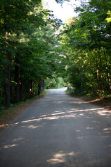 road in the forest