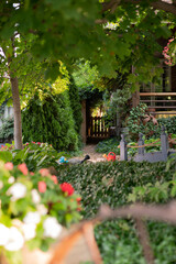 Obraz premium autumn in the garden