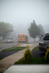 Obraz premium school bus in the foggy street