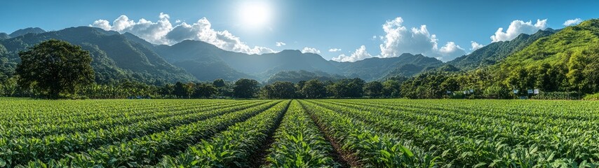Lush Green Agricultural Field Under Clear Skies Showcasing Fertile Land and Vibrant Crops for Sustainable Farming and Nature Conservation