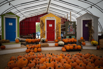 Halloween doors in pumpkin patch