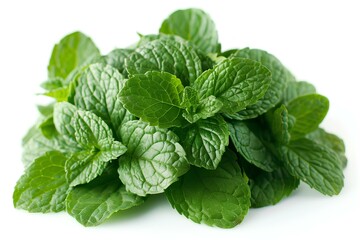Fototapeta premium A pile of fresh mint leaves on a white surface