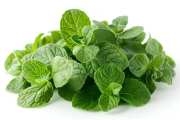 Fototapeta premium A pile of fresh mint leaves on a white surface