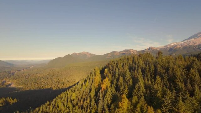 Aerial View of Mount Rainier and Evergreen Forest at Sunrise, Washington State