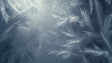 Intricate frosty patterns on a window pane, illuminated by sunlight.
