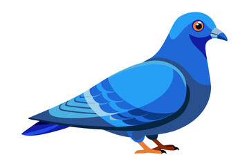 Cute blue rock pigeon side view picture vector art illustration 