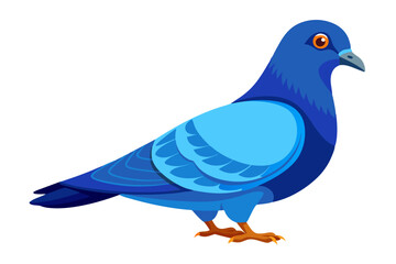 Cute blue rock pigeon side view picture vector art illustration 