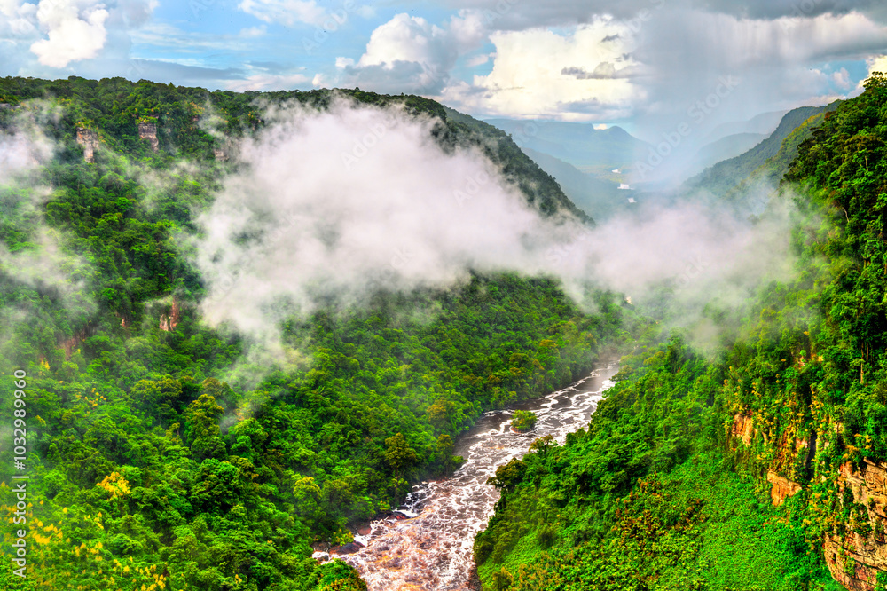 Canvas Prints The Potaro river valley under Kaieteur Falls in the Amazon rainforest of Guyana, South America