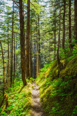Spring Hiking in Juneau, Alaska