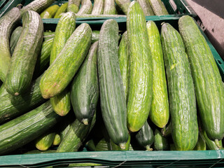 Fresh Cucumbers in Baskets for Sale at Grocery Store