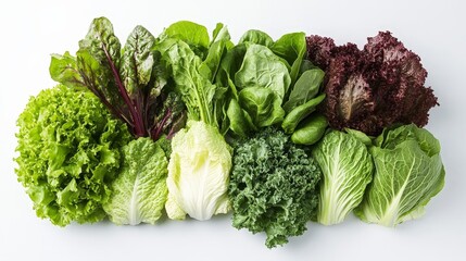 A variety of lettuce types, including romaine and iceberg, arranged in an elegant display