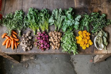 A variety of medicinal vegetables displayed in a neat row, each one known for its healing properties