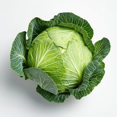 Obraz premium A whole head of cabbage, its green leaves tightly wrapped, isolated against a white background