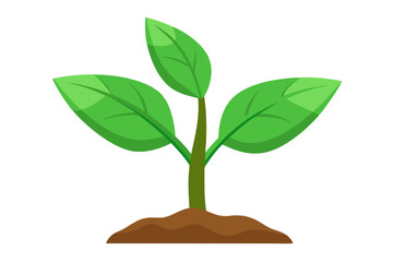 Young plant on vector art illustration