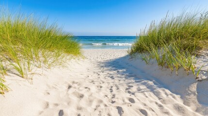 A sandy path flanked by tall green grass leads to the ocean on a clear sunny day, offering a perfect beach escape under the blue sky..